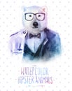 Vector illustration of bear portrait in sunglasses Royalty Free Stock Photo