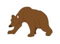 Vector illustration of a bear standing, drawing color, vector