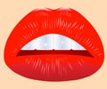 Vector illustration of the beautiful feminine lips