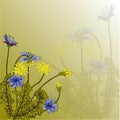 Vector illustration with beautiful field cornflowers and dandelions on a green background. For decorating textiles, packaging and Royalty Free Stock Photo
