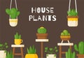 Vector illustration. Beautiful indoor plants, vases and flowers.