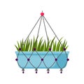 Vector illustration of beautiful potted home hanging plant grass. Trendy house decor icon.