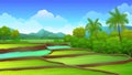 Beautiful rice field view with tropical forest, mountains and blue sky