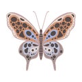 Vector illustration of a beautiful spotted butterfly on a white background isolated. Blue insect with red wings and black spots. A Royalty Free Stock Photo