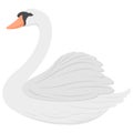 Beautiful white swan. Vector illustration Royalty Free Stock Photo