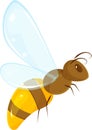 vector illustration of bee, cartoon insect, flying wasp, honey bee