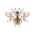Vector illustration of a bee with open wings, top view, decorated with flowers and leaves symmetrically on a white background Royalty Free Stock Photo