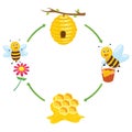 Vector Illustration of Bee Producing Honey