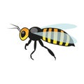 Vector illustration of bee on white background