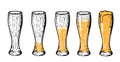 Beer in glass different amount set Royalty Free Stock Photo