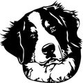 Bernese Mountain Dog Vector Illustration Royalty Free Stock Photo