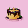 Vector illustration. Big cake with berries and chocolate