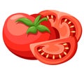 Vector illustration of big ripe red fresh tomato isolated on white background Web site page and mobile app design Detailed vegetar