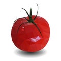 Vector illustration of big ripe red fresh tomato