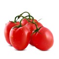 Vector illustration of big ripe red fresh tomatoes branch isolated on white background Royalty Free Stock Photo