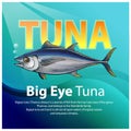 Big eye tuna