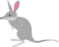 Vector illustration of bilby in cartoon simple flat style isolated on white background, label or card Royalty Free Stock Photo