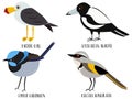 Vector illustration of bird cartoons Pacific gull,