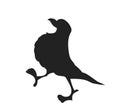 Vector illustration of a bird, drawing silhouette, vector