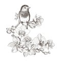 Bird hand drawn in vintage style with tropical flowers. Spring bird sitting on blossom branches of orchid. Linear