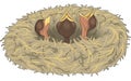 Bird Nest with Chicks Crying Illustration