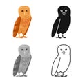 Vector illustration of bird and owl icon. Collection of bird and nature stock symbol for web. Royalty Free Stock Photo