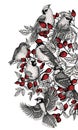 Vector illustration of a bird on a rose hip berry bush Royalty Free Stock Photo