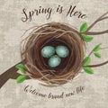 Vector illustration of bird`s nest with blue speckled eggs