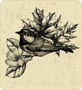 Vector illustration of the bird titmouse, leaves.
