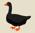 Vector illustration of black goose on light background.