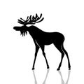 Vector illustration of a black silhouette of an elk. Isolated white background. Icon moose with horns side view, profile Royalty Free Stock Photo