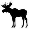 Vector black silhouette moose with horns Royalty Free Stock Photo