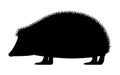 Vector illustration of black silhouette hedgehog Royalty Free Stock Photo