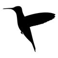 Vector illustration black silhouette hummingbird