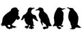 Vector illustration. Black silhouette of a penguin Royalty Free Stock Photo