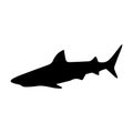 Black silhouette shark Royalty Free Stock Photo