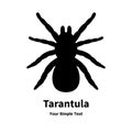 Vector illustration of a black spider tarantula