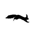 Vector illustration of black squirrel silhouette. Running squirrel silhouette Royalty Free Stock Photo