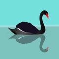 A vector illustration of a black swan swimming in the water Royalty Free Stock Photo