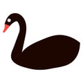 Vector illustration of black swan Royalty Free Stock Photo