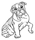 Vector illustration of black and white bulldog with raised paw.