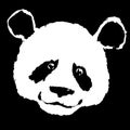 Vector illustration black-white Panda