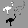 Vector illustration black and white silhouette of an ostrich, contour of a bird isolated on white background Royalty Free Stock Photo