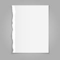 Vector illustration of blank sheet of torn paper Royalty Free Stock Photo