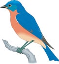 Blue Bird Perched on a Branch Illustration