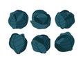 Vector illustration of blue cabbages. Set of cabbages isolated on white background.