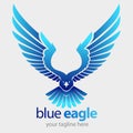 Blue eagle flying