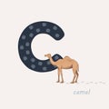 Vector illustration. Blue letter C with camels footprints, a cartoon camel. Animal alphabet.
