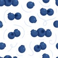 Vector illustration of blueberry pattern. Vector seamless blueberries.