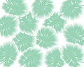 vector illustration, blurry tropical leaves background, delicate green design